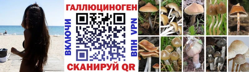 Галлюциногенные грибы прущие грибы Южа